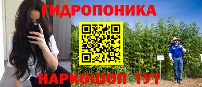 прущие грибы Татарск