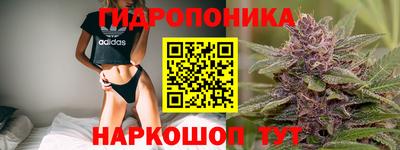 прущие грибы Татарск
