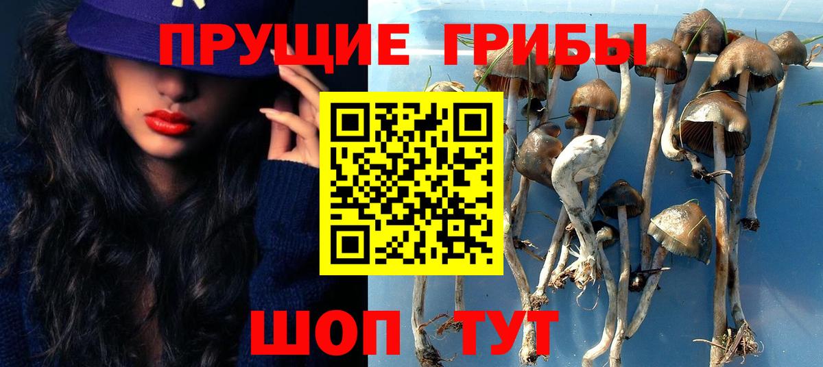 продажа наркотиков  Псилоцибиновые грибы мицелий  Вход с VPN  Белая Калитва  Галлюциногенные грибы мухоморы 